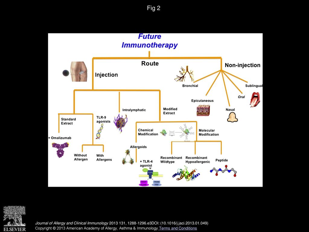 Fig 2 Novel approaches to AIT.
