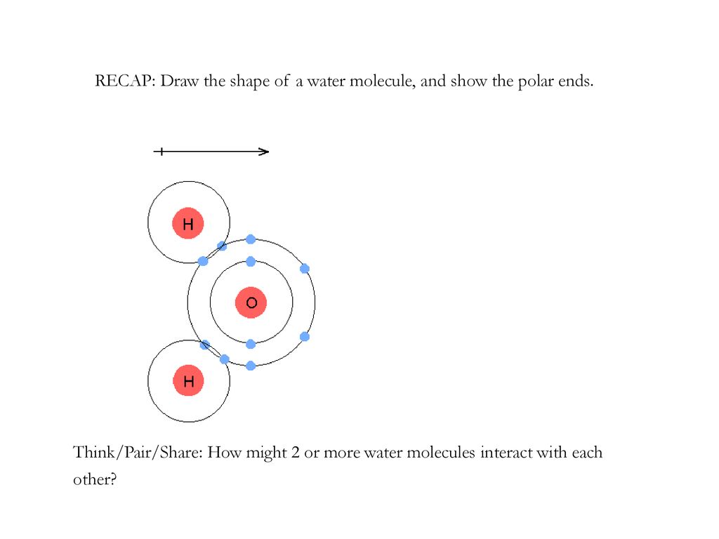 RECAP: Draw the shape of a water molecule, and show the polar ends.