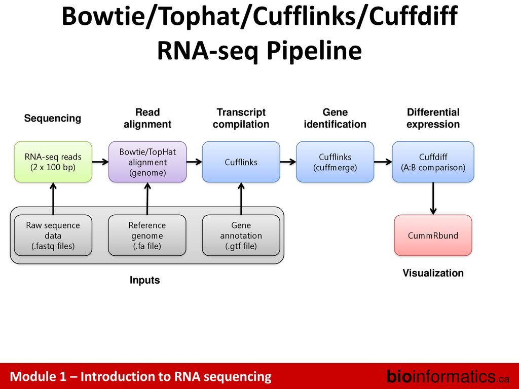 Bowtie/Tophat/Cufflinks/Cuffdiff RNA-seq Pipeline