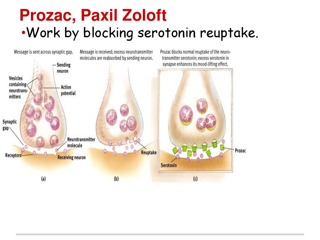 Disorder Treatment Psychotherapies Talk Therapies Ppt Download   Prozac%2C Paxil Zoloft Work By Blocking Serotonin Reuptake. 