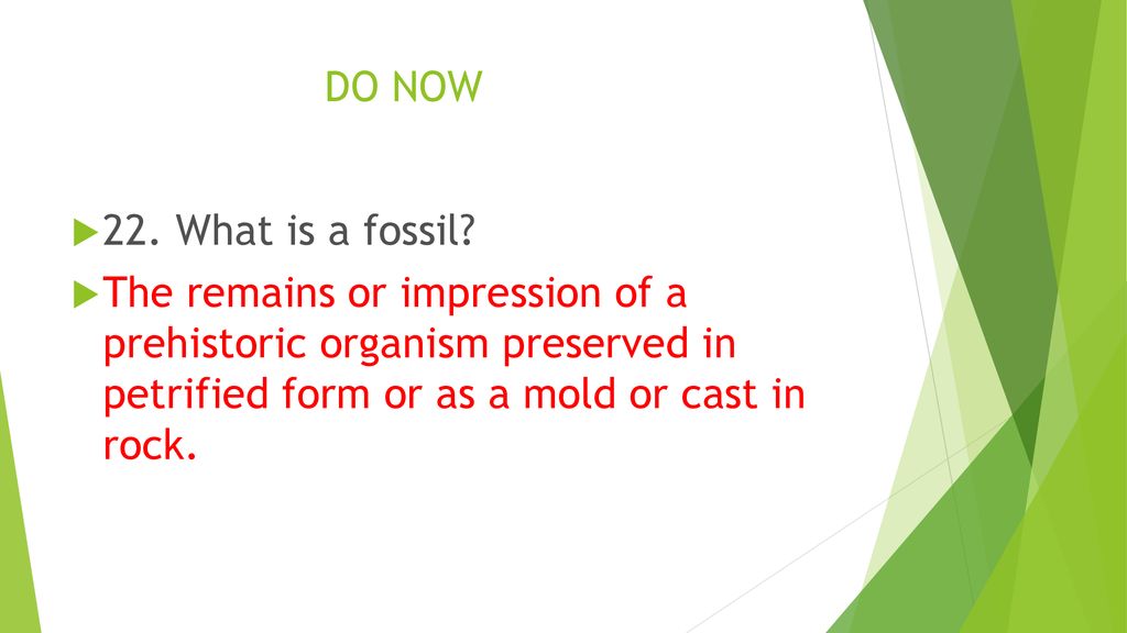 DO NOW 22. What is a fossil.