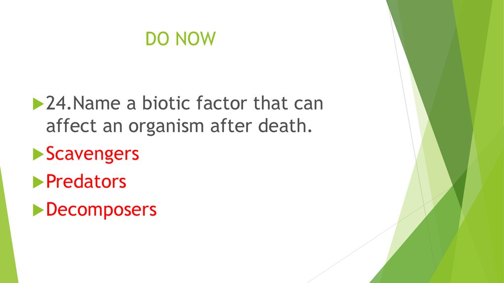 DO NOW 24.Name a biotic factor that can affect an organism after death.