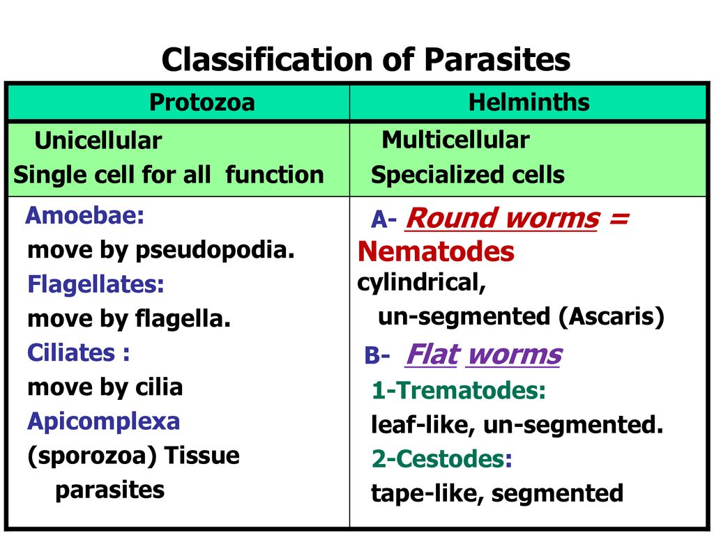 Arthropod Agents and Vectors of Diseases - ppt download