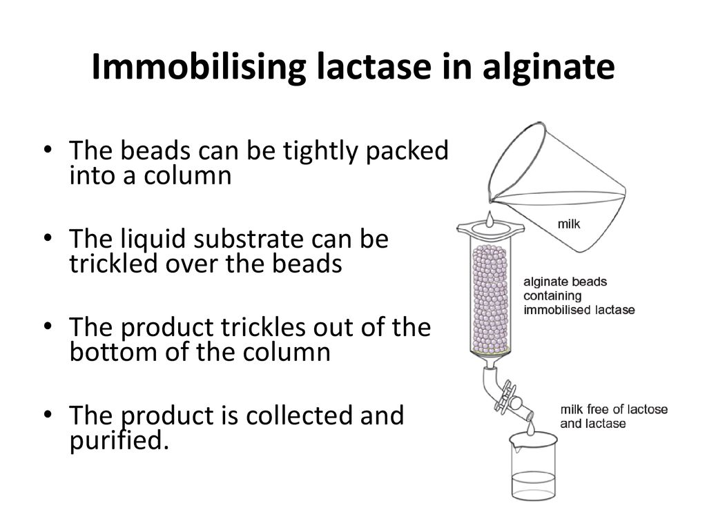 12 September September 2018 Title Industrial Enzymes Ppt Download