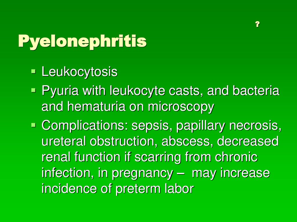 Urinary Tract Disorders - ppt download