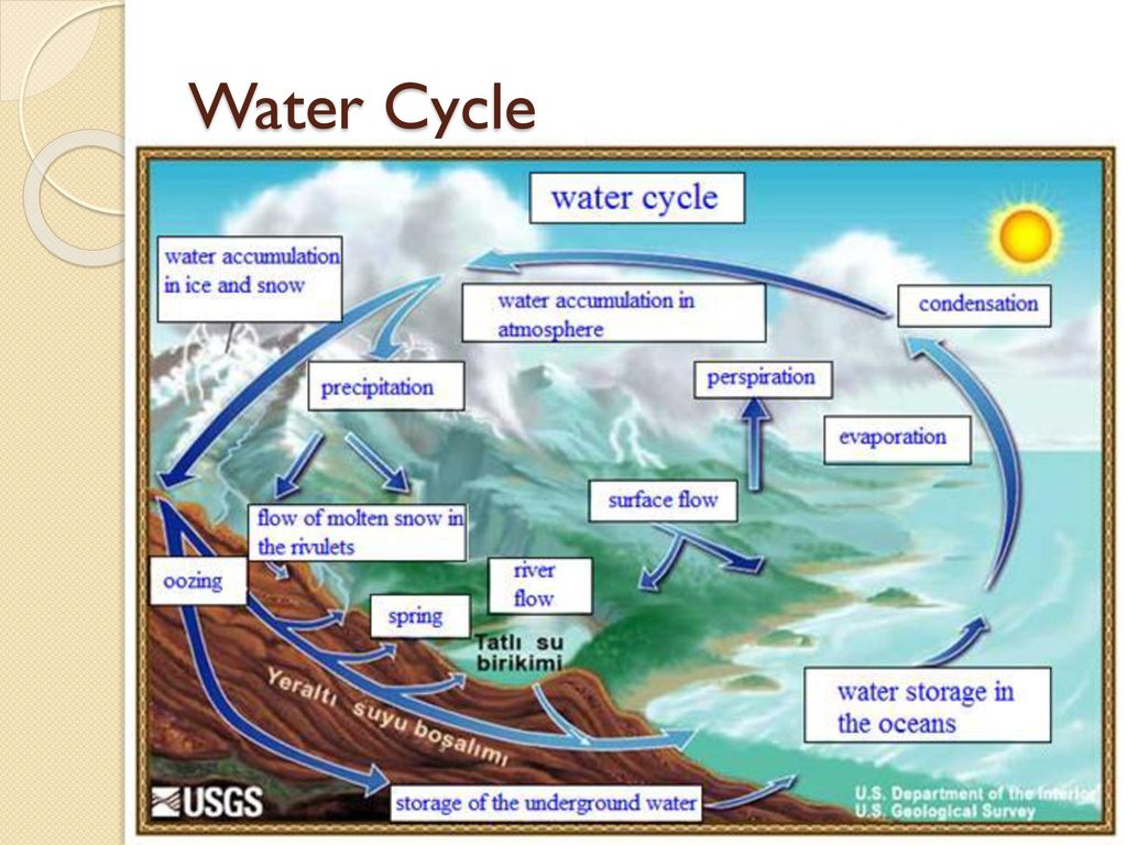 Цикл воды в организме. Круговорот воды в организме человека схема. Деревья в круговороте воды. Большой круговорот воды. The Water Cycle on Earth.