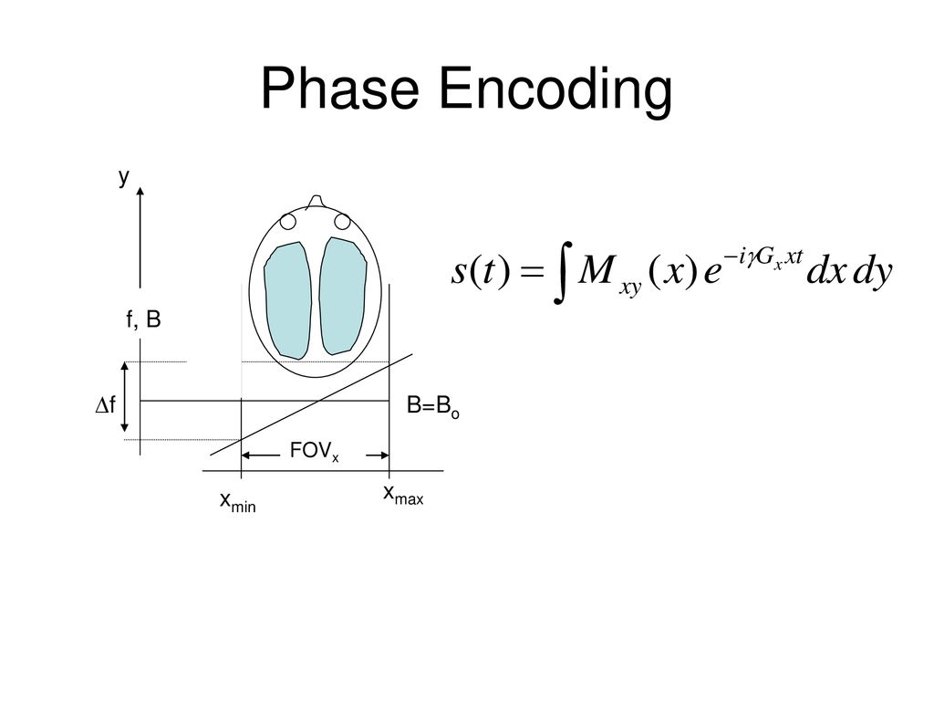 Phase Encoding y f, B Df B=Bo xmin xmax FOVx