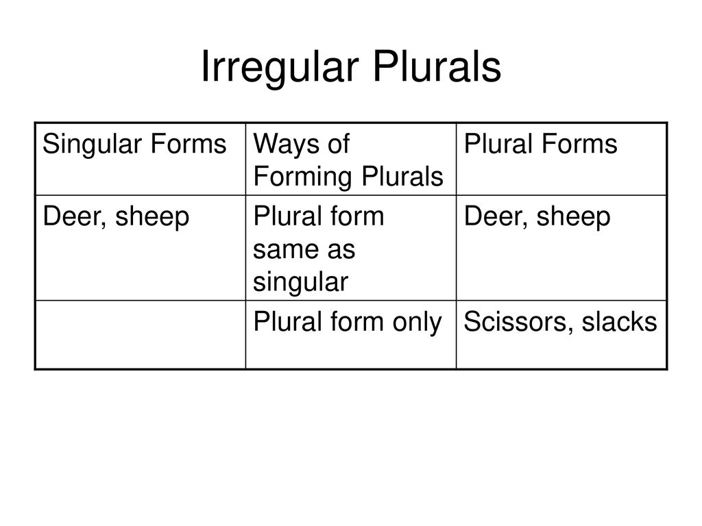 Sheep plural