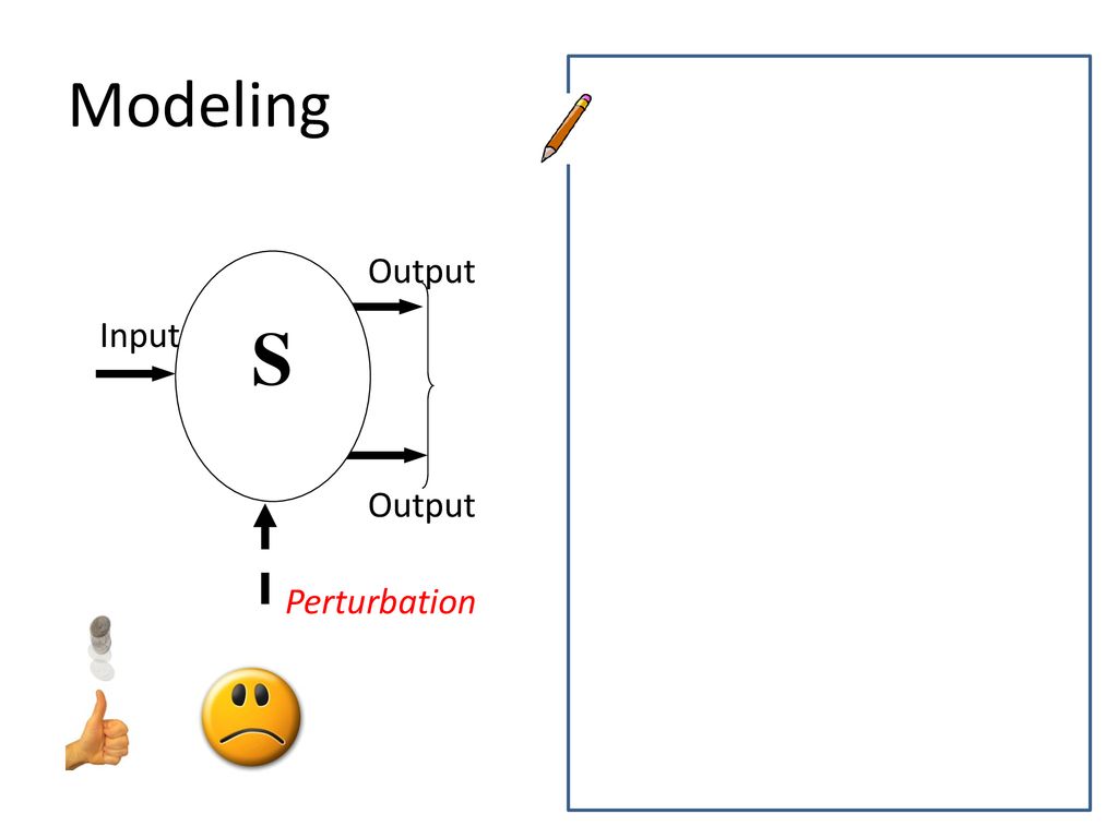 Modeling S Output Input Perturbation