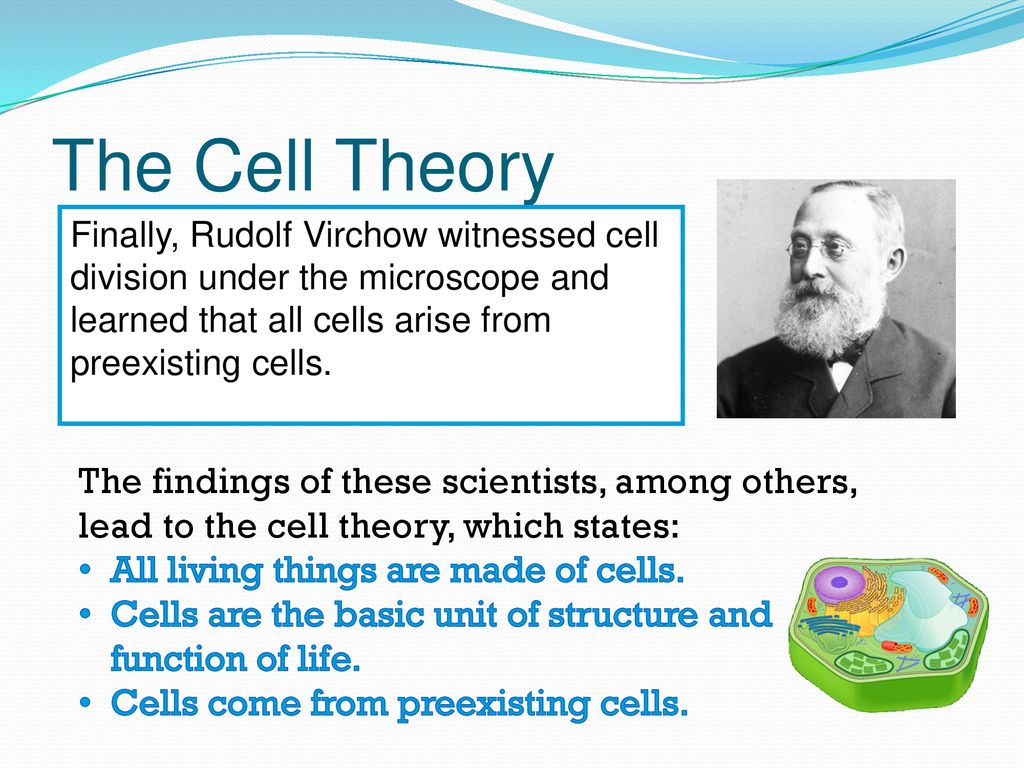 Cell theory and the microscope ppt download