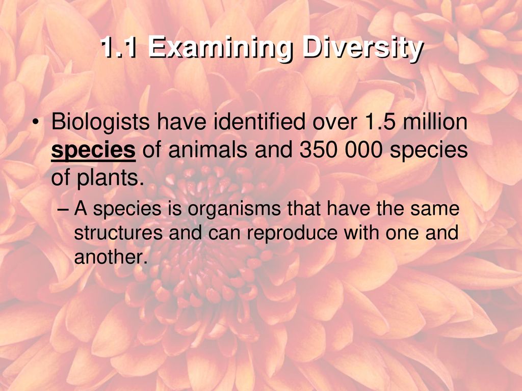unit-a-biological-diversity-ppt-download