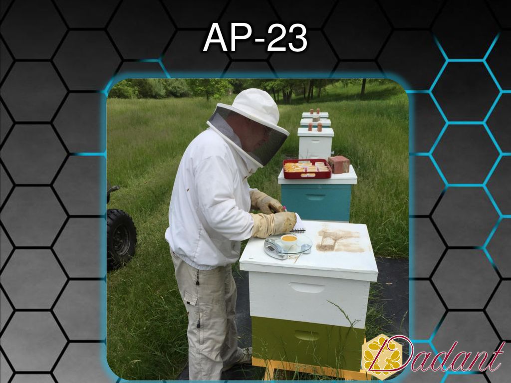 North American Beekeeping Conference ppt download