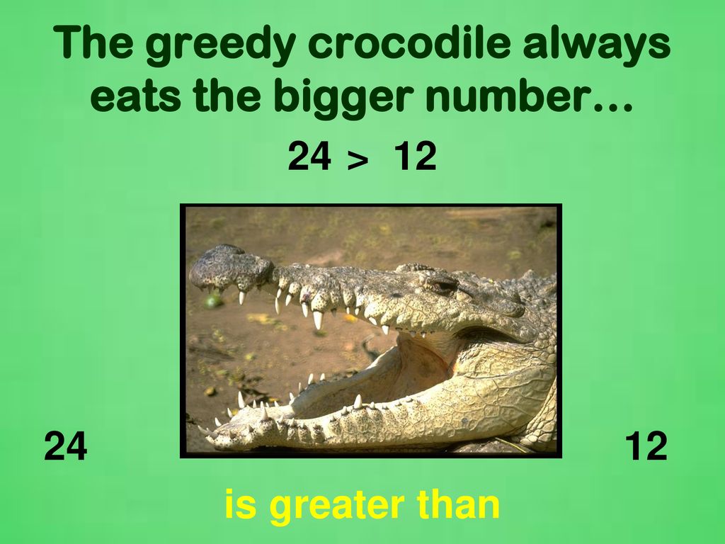 Greater than and Less than crocodiles…. - ppt download