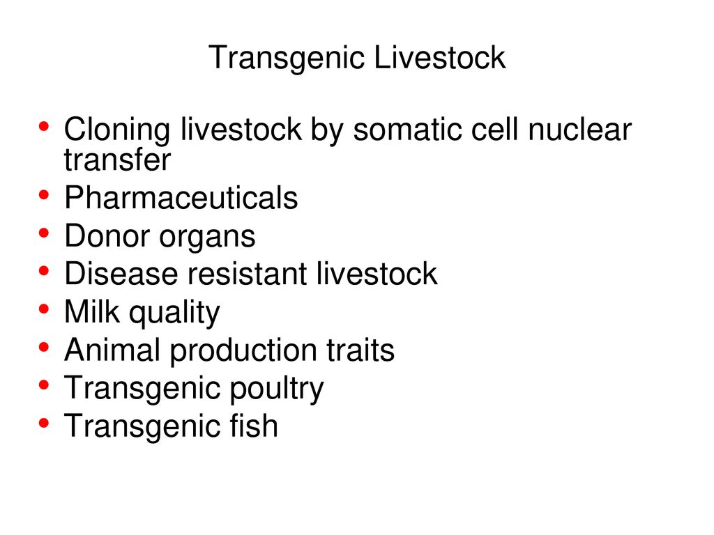 Chapter 12 – Transgenic Animals - ppt download