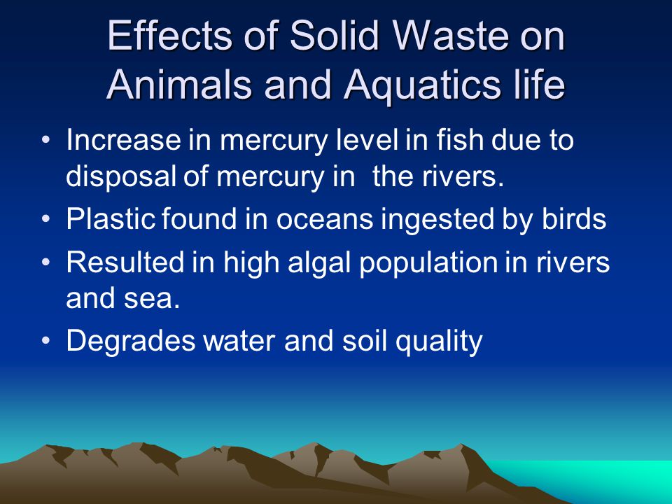 Effects of Solid Waste on Animals and Aquatics life