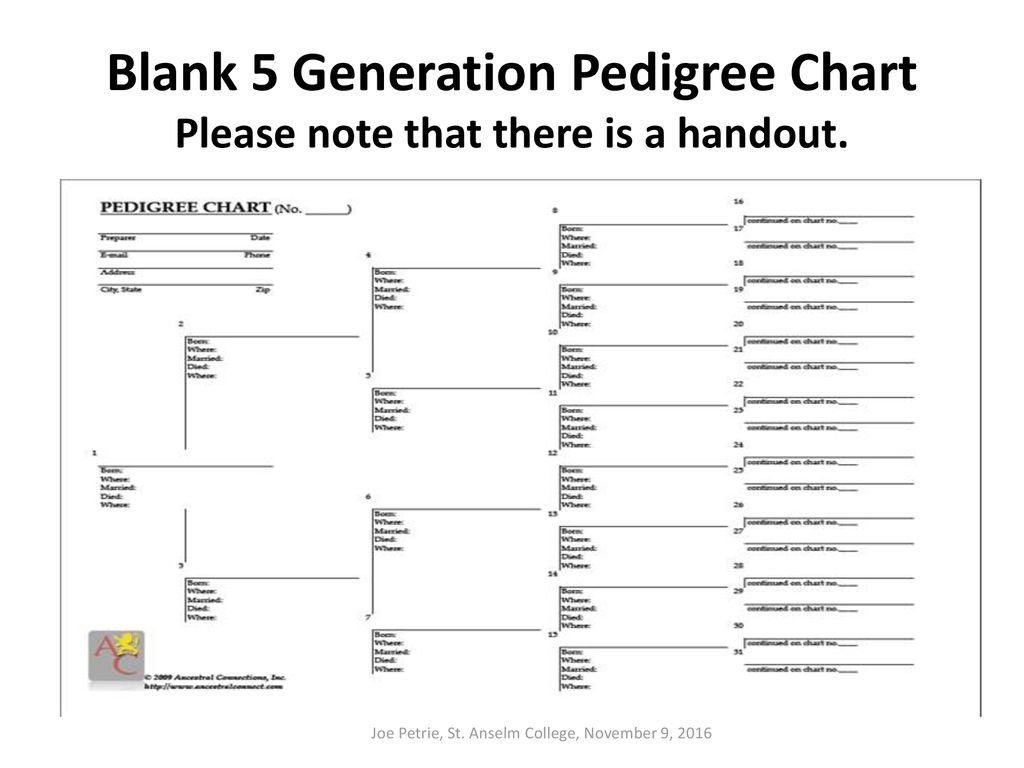 Blank Pedigree Chart 5 Generation