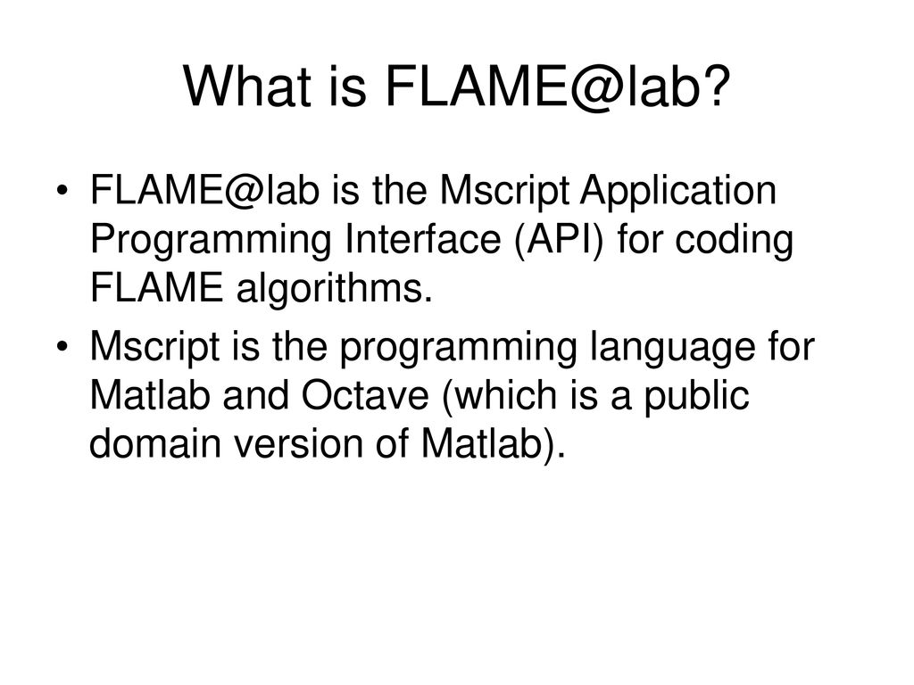 What is  is the Mscript Application Programming Interface (API) for coding FLAME algorithms.