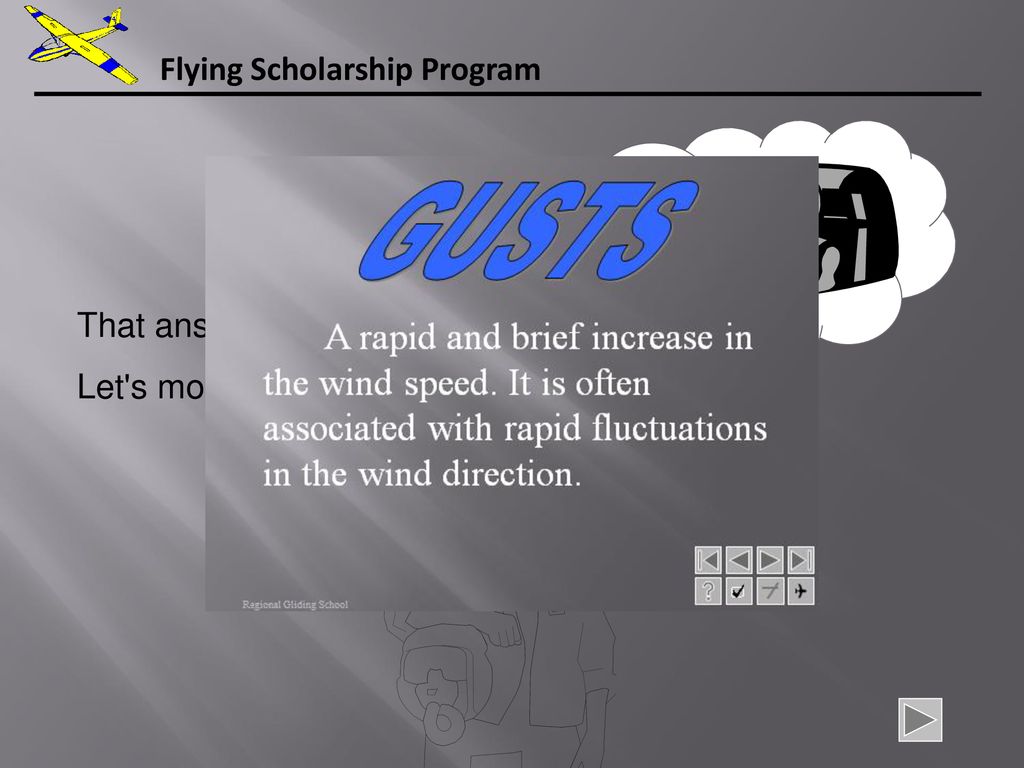Flying Scholarship Program