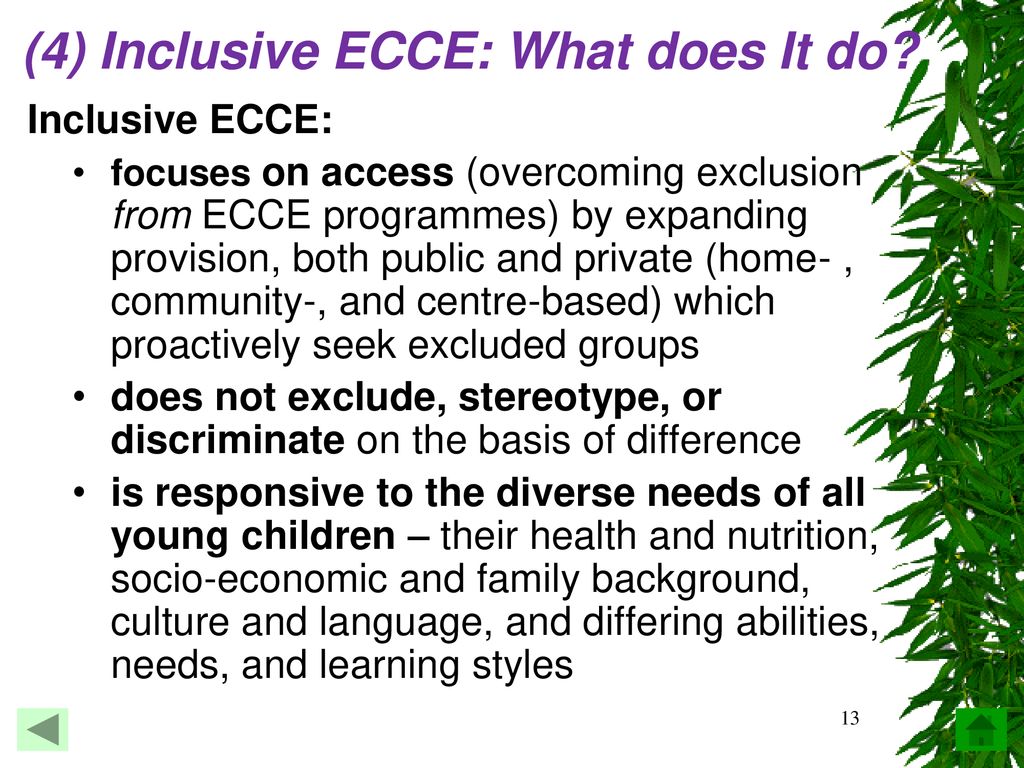(4) Inclusive ECCE: What does It do