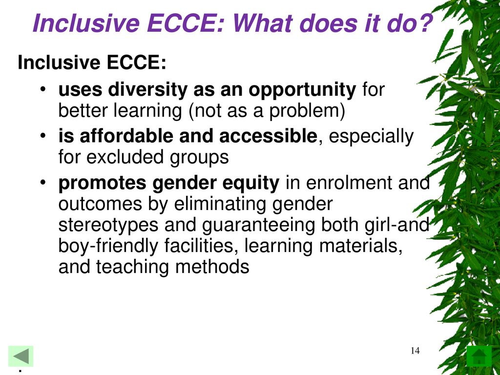 Inclusive ECCE: What does it do
