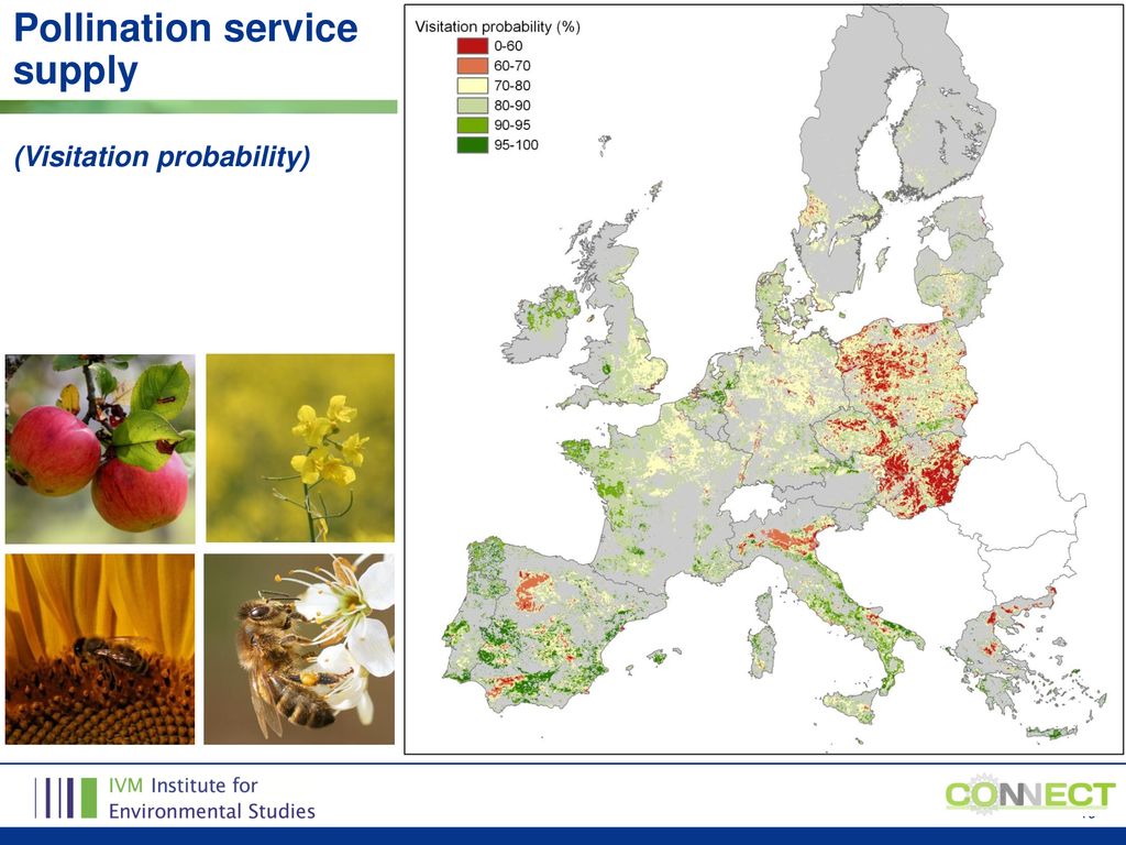 Pollination service supply (Visitation probability)