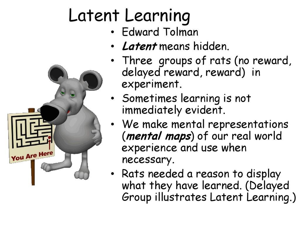 latent learning is
