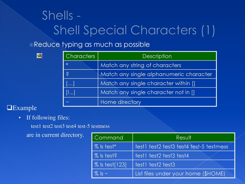 Shell and Shell Programming - ppt download