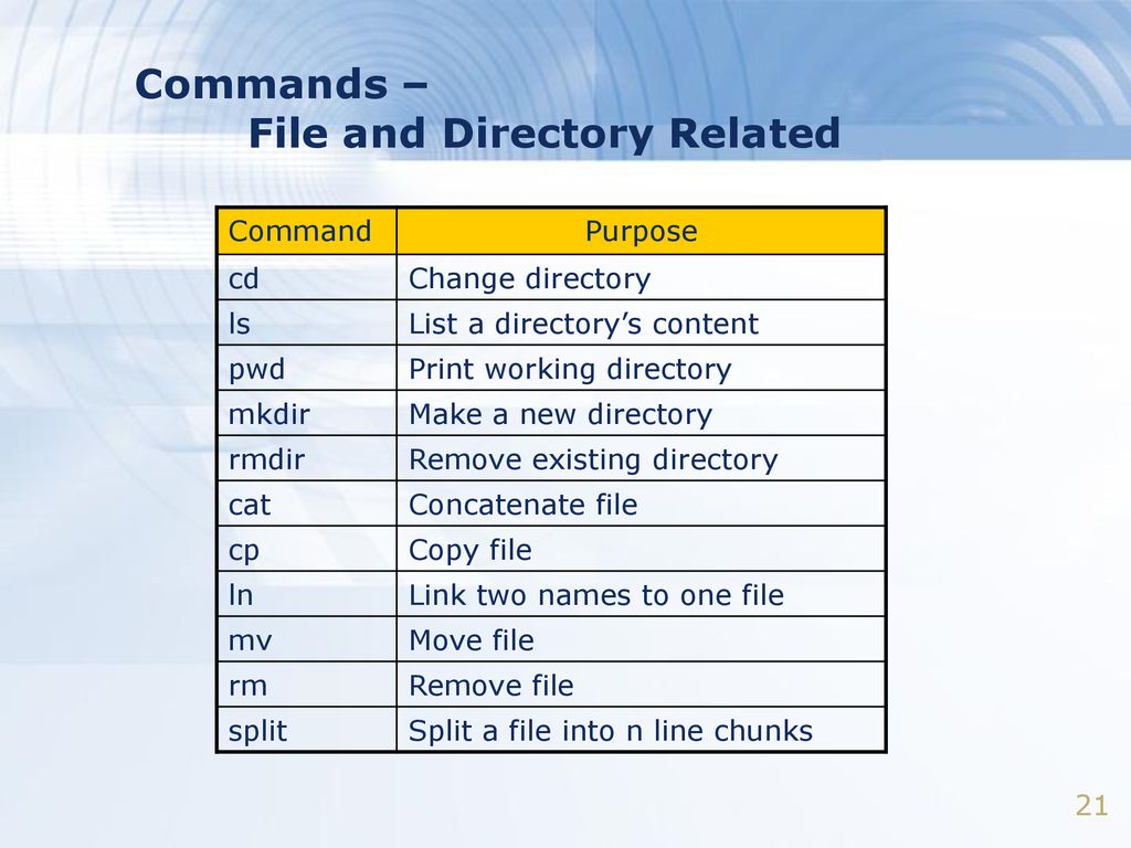 Shell and shell programming ppt download