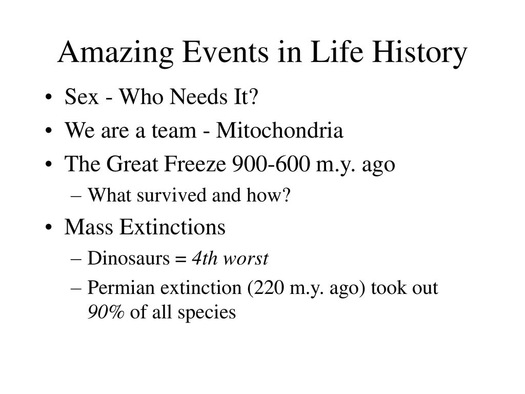 Fossils and Evolution. - ppt download