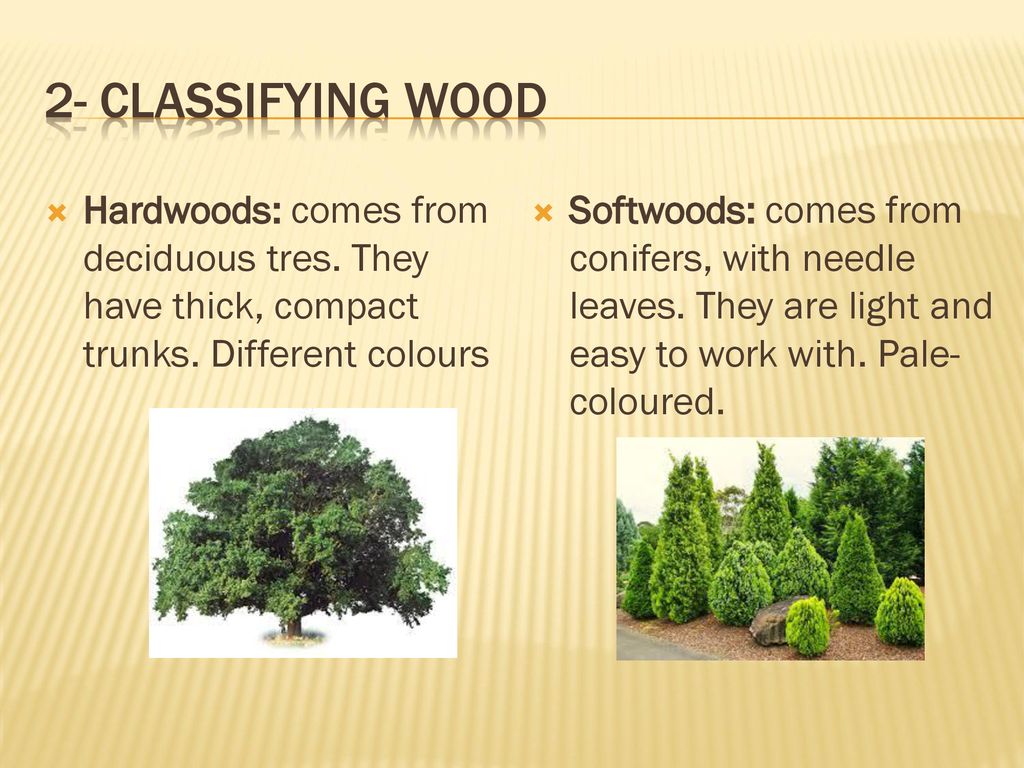 Unit 4 Wood Ppt Download