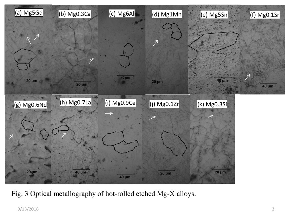 Fig 1 Optical Metallography Of As Cast Etched Mg X Alloys Ppt Download