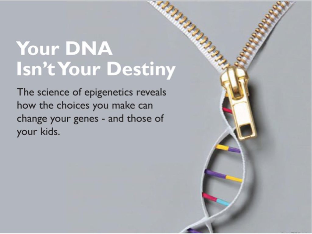 Building Resilience In Those We Care For Biology Diagrams