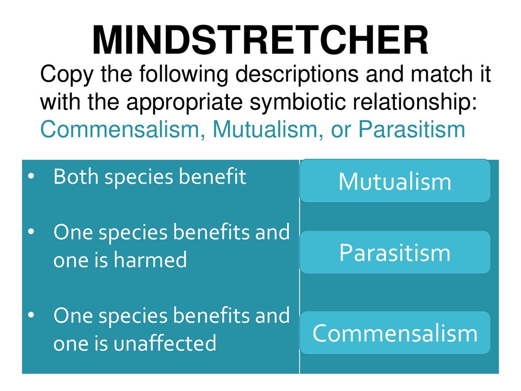 Mind Stretcher – Evaporation Condensation - Ppt Download