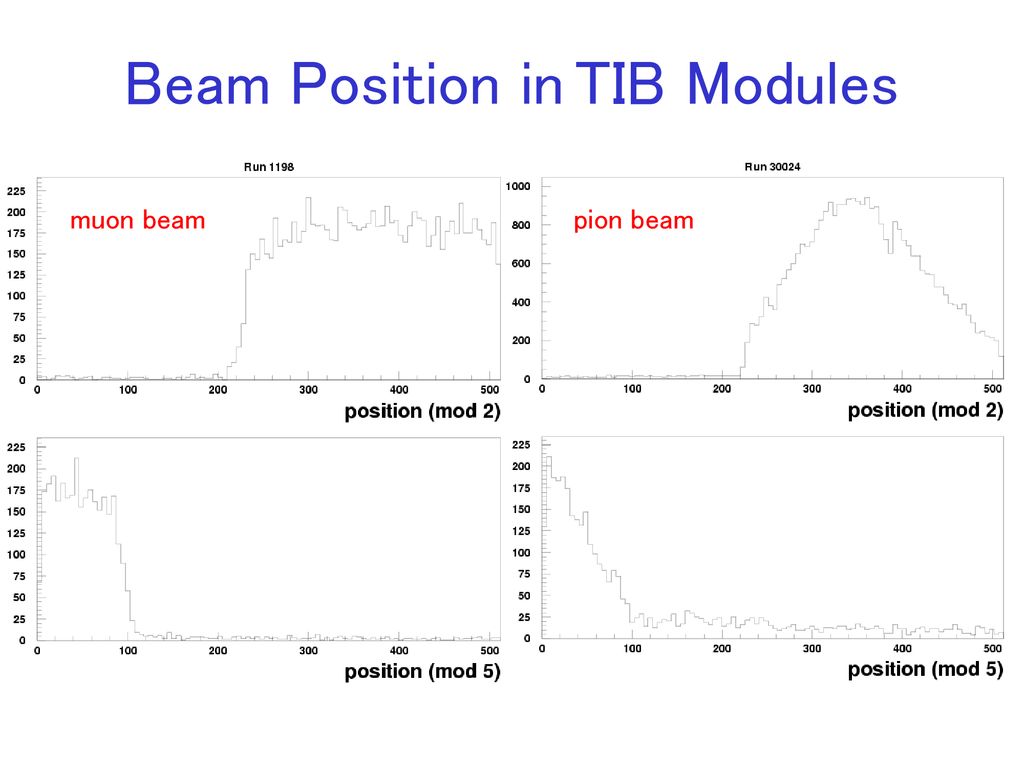 Beam Position in TIB Modules