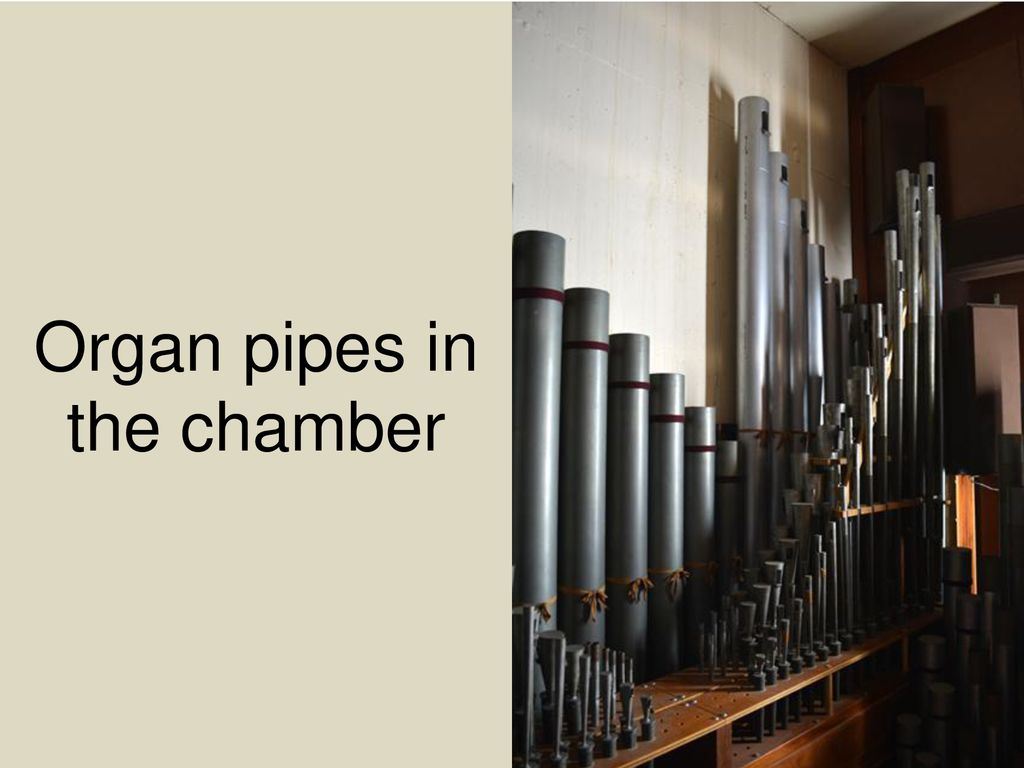 Organ pipes in the chamber