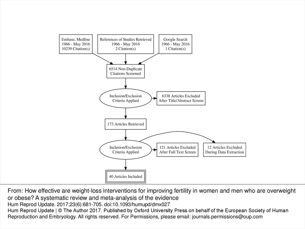 Prisma Flow Chart