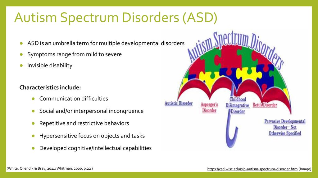 An Integrated Approach to Supporting Students on the Autism Spectrum ...