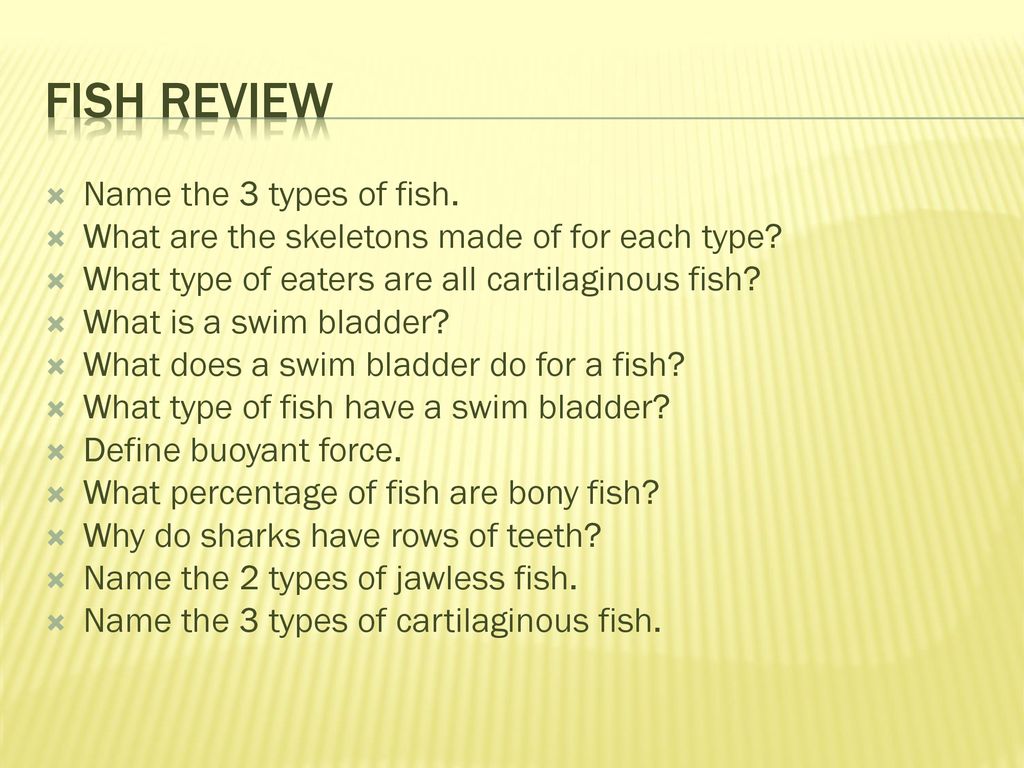 6/3/15 Mr. Faia 6th Grade Science - ppt download