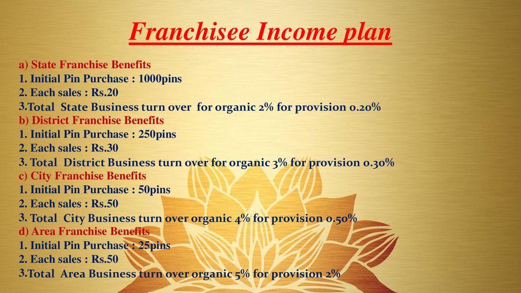 Franchisee Income plan