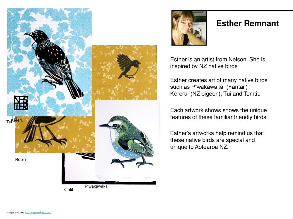 Esther Remnant Esther is an artist from Nelson. She is inspired by NZ native birds.