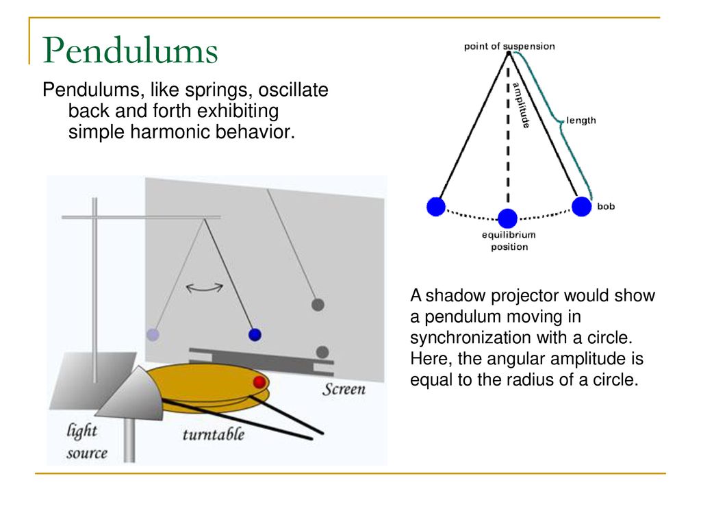 Pendulums Pendulums, like springs, oscillate back and forth exhibiting simple harmonic behavior.