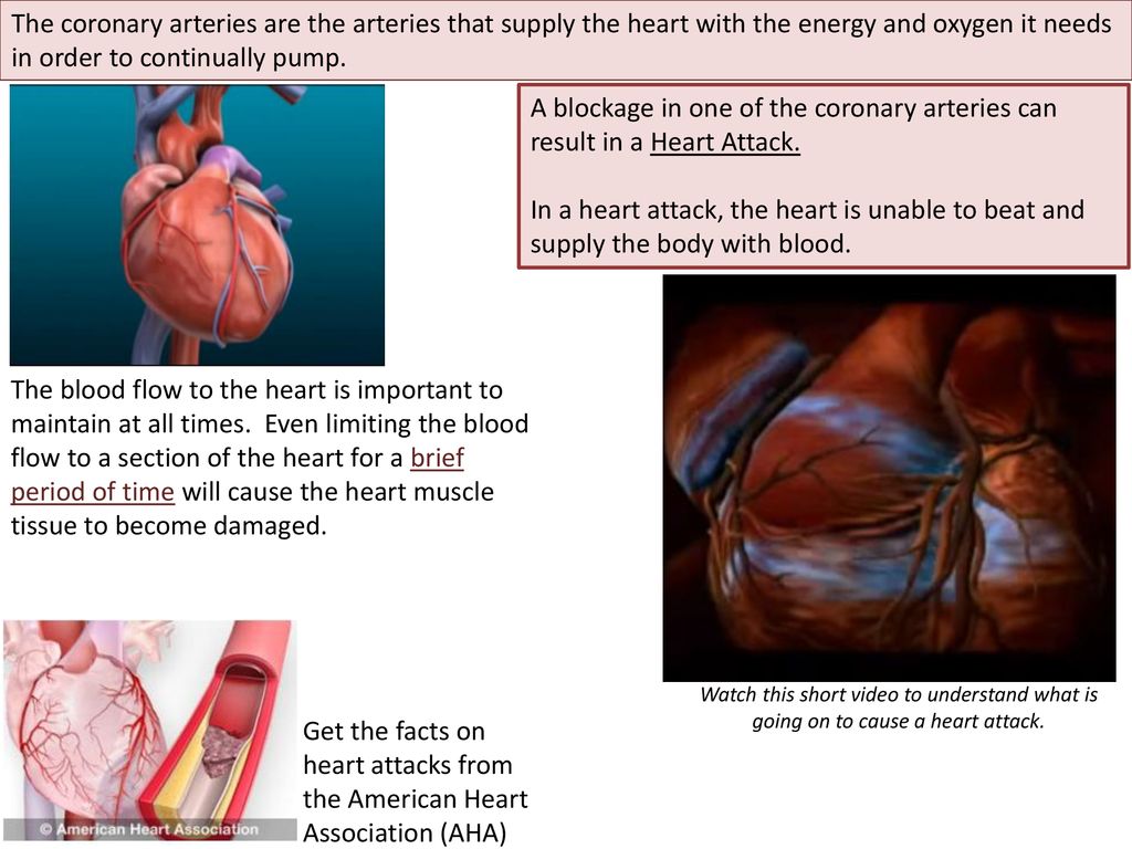 The coronary arteries are the arteries that supply the heart with the energy and oxygen it needs in order to continually pump.