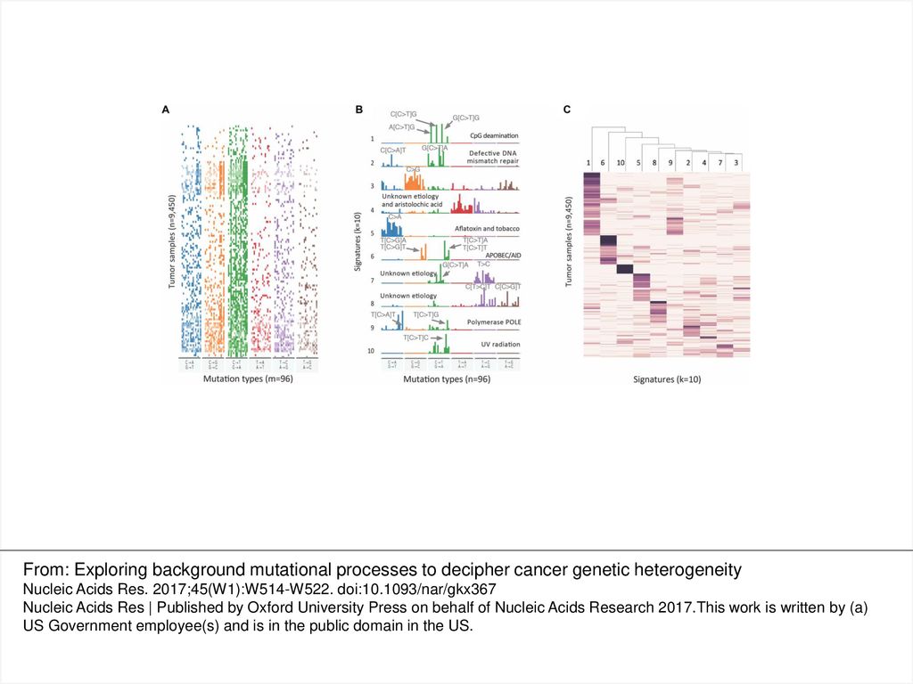 Figure 2. Decomposition of mutational profiles of pan-cancer samples into mutational signatures. (A) The matrix of mutational profiles of pan-cancer samples $V$; (B) Ten mutational signatures MutaGene10 in matrix $W$ annotated by the corresponding mutagenic processes and (C) exposure matrix $H$ representing relative contributions of mutational processes (represented by ten signatures) in each tumor sample. The matrices are transposed for visualization purpose. Matrices $V$ and $H$ are heat maps where pixel intensity indicates the frequency, whereas in matrix $W$ the values of row vectors as shown as bar plots.