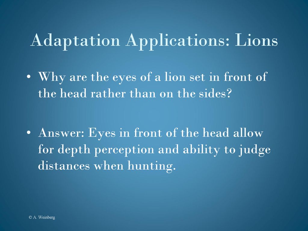 Toad Adaptations. - ppt download
