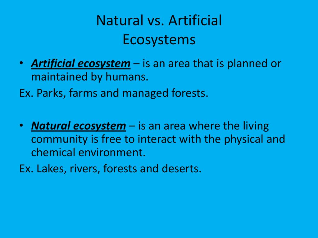 Example of artificial and natural ecosystem at mark lola blog