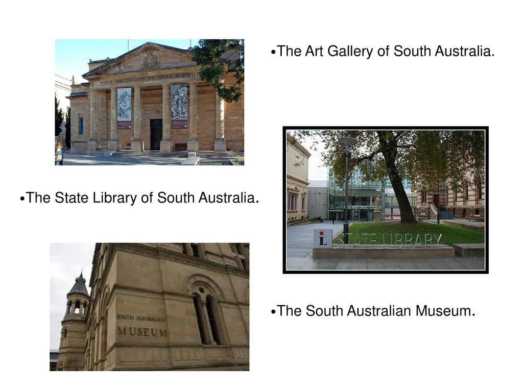 •The Art Gallery of South Australia.
