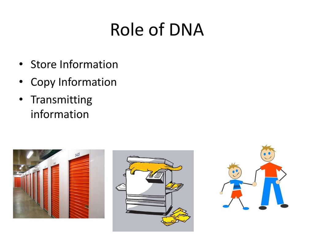 Do now pg analyzing data ppt download