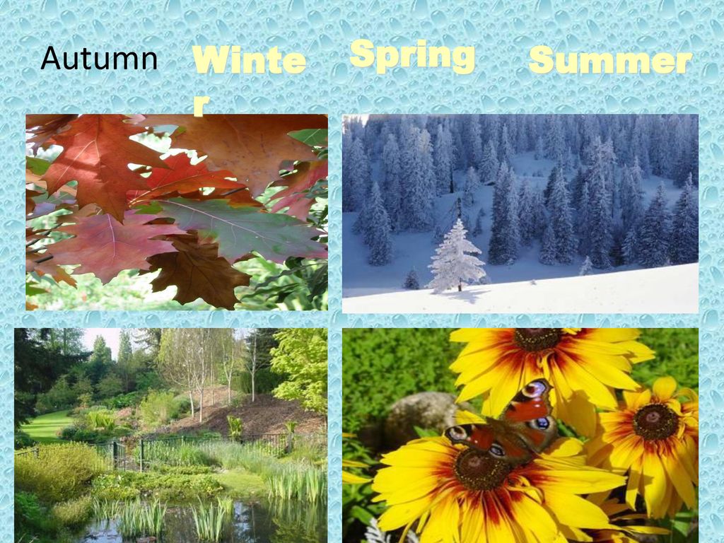 Year After Year Ppt Download year-after-year-ppt-download