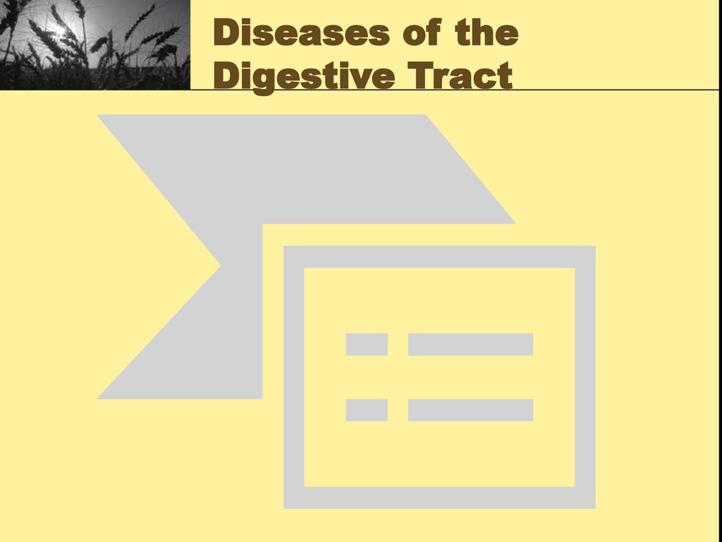 Diseases of the Digestive Tract