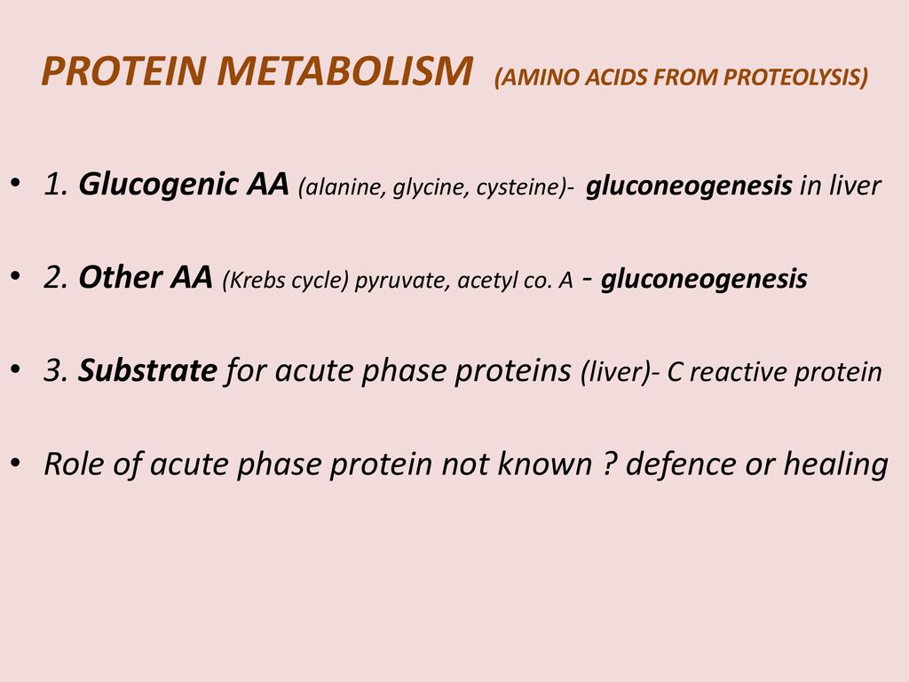 PROTEIN METABOLISM (AMINO ACIDS FROM PROTEOLYSIS)